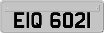 EIQ6021