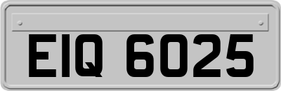 EIQ6025