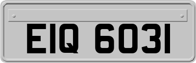 EIQ6031