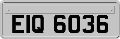 EIQ6036