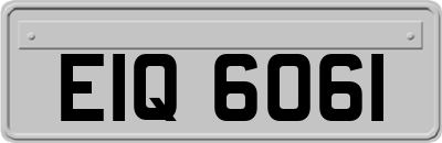EIQ6061