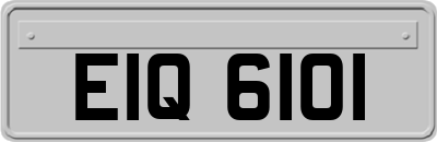 EIQ6101