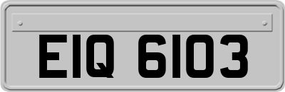 EIQ6103