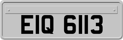 EIQ6113