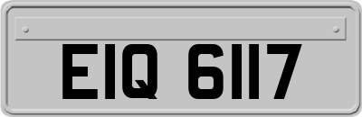EIQ6117