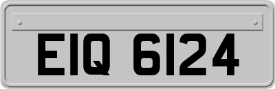 EIQ6124