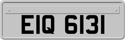 EIQ6131
