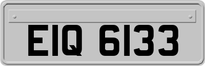 EIQ6133