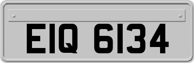EIQ6134