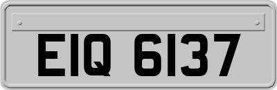 EIQ6137