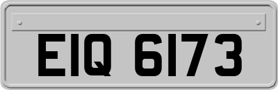 EIQ6173