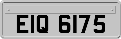 EIQ6175