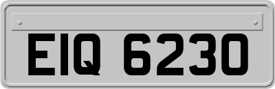 EIQ6230