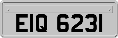 EIQ6231