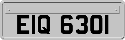 EIQ6301