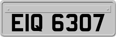 EIQ6307