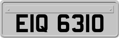 EIQ6310