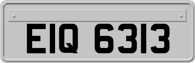 EIQ6313
