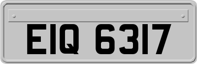 EIQ6317