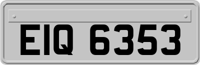 EIQ6353