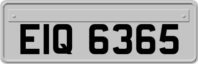 EIQ6365