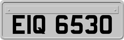 EIQ6530