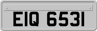 EIQ6531