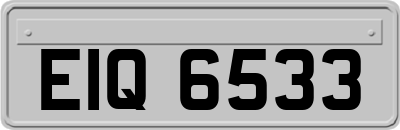 EIQ6533