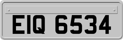 EIQ6534