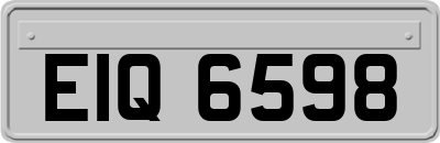EIQ6598