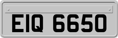 EIQ6650