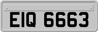 EIQ6663