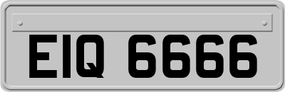EIQ6666