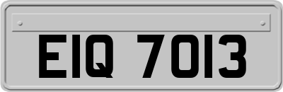 EIQ7013