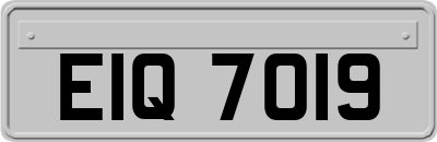 EIQ7019