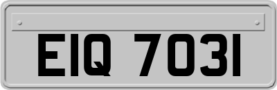EIQ7031