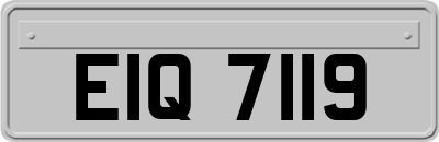 EIQ7119