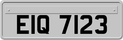 EIQ7123