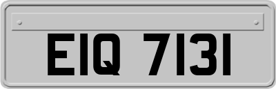 EIQ7131
