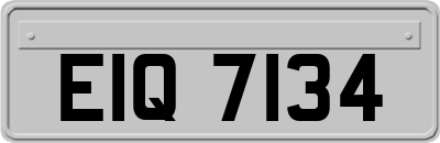 EIQ7134