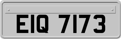 EIQ7173