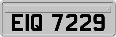EIQ7229