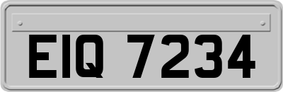 EIQ7234
