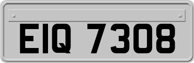 EIQ7308