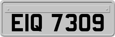 EIQ7309