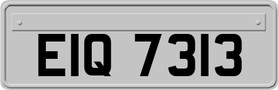 EIQ7313