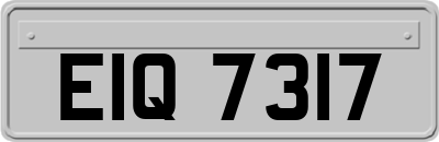 EIQ7317