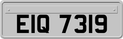EIQ7319