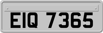 EIQ7365