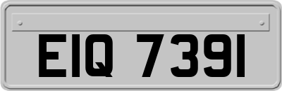 EIQ7391